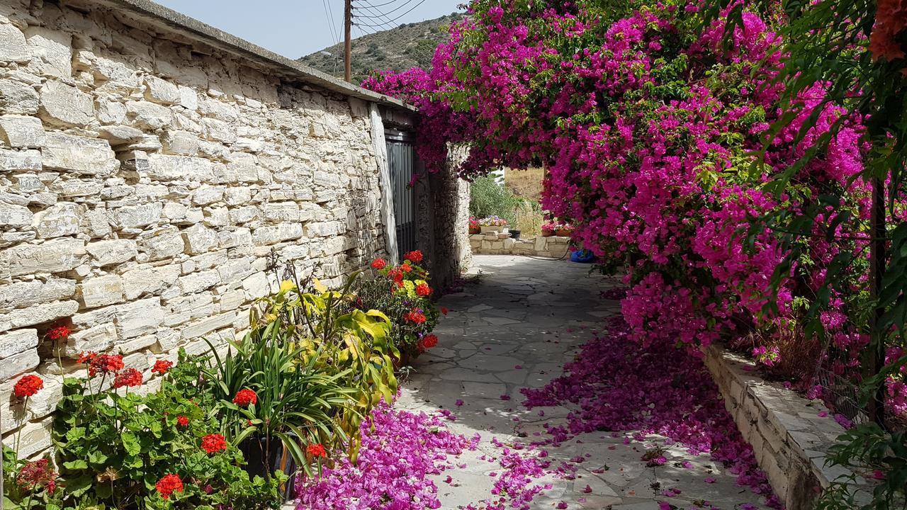 Kalavasos Square Apartments - With Pool 3 Minutes Walk Εξωτερικό φωτογραφία